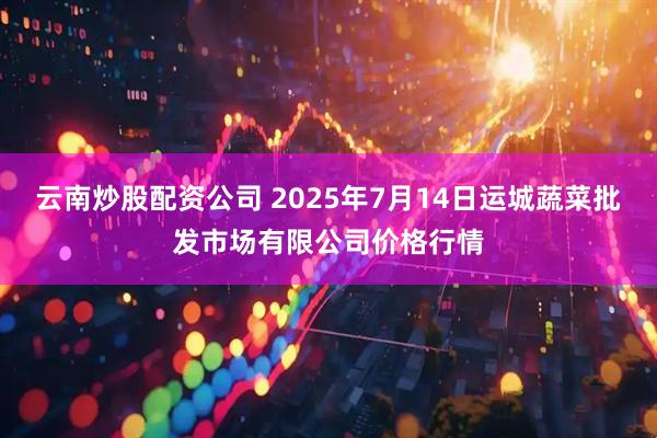 云南炒股配资公司 2025年7月14日运城蔬菜批发市场有限公司价格行情
