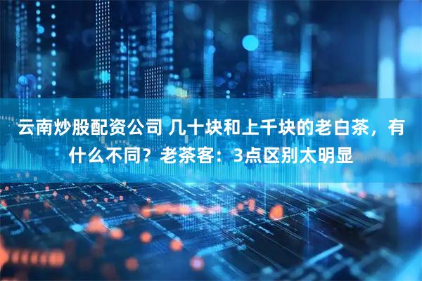 云南炒股配资公司 几十块和上千块的老白茶，有什么不同？老茶客：3点区别太明显